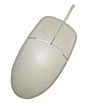 2 Button Mouse